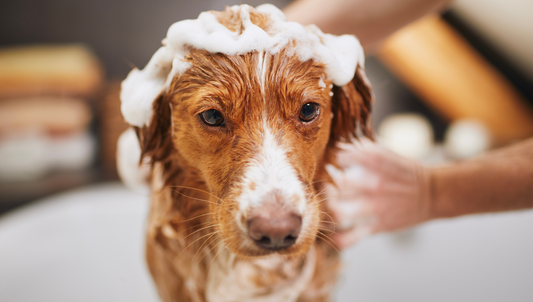 Wann baden sinnvoll ist