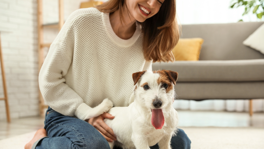 Die richtige Fellpflege für Kurzhaar Hunde